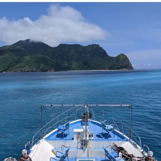 【宜蘭-新福豐36號】賞鯨+環龜山島-成人票