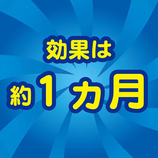 【日本金鳥KINCHO】強效型-果蠅誘捕吊掛〔2入〕(果蠅誘捕吊掛)
