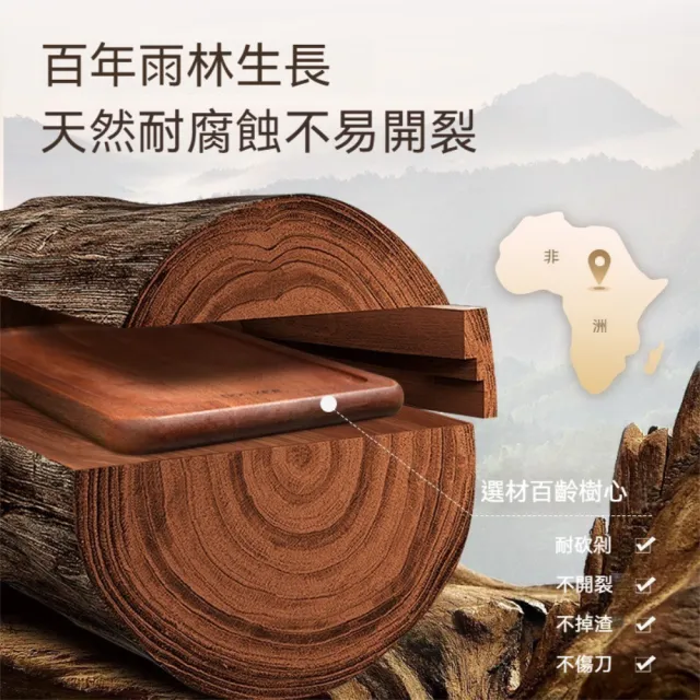 【Dagebeno荷生活】不易變形加高邊緣長柄披薩盤 耐腐蝕不易發霉圓滑邊緣披薩盤(圓形款1入)