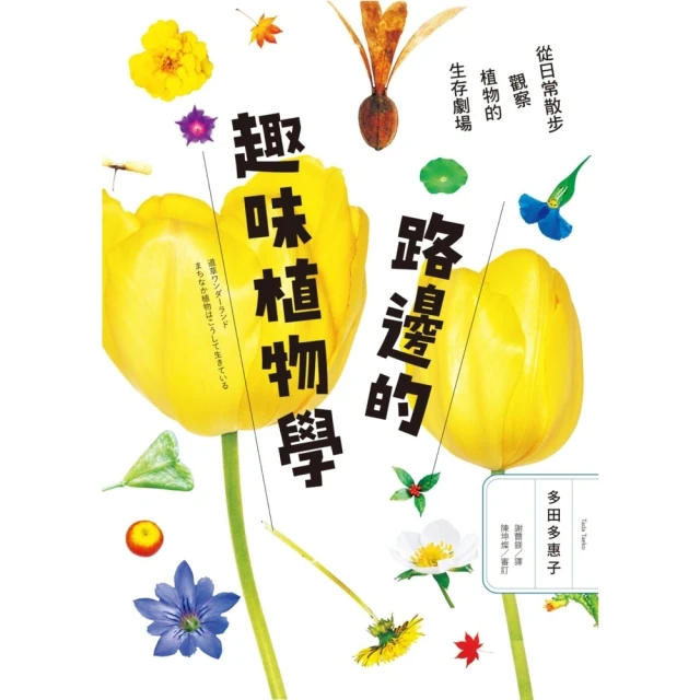 【momoBOOK】日蝕(電子書) 推薦