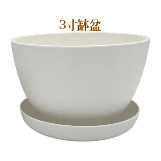 【小美紀】3寸缽盆附底盤(花盆 花架 圓盆 多肉盆 盆栽 水盤 肥料 多肉)