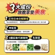【SVELTY 絲蓓緹】官方直營 糖質友達!分解酵母膠囊120粒*3盒(日本正宗/閃澱/控醣)
