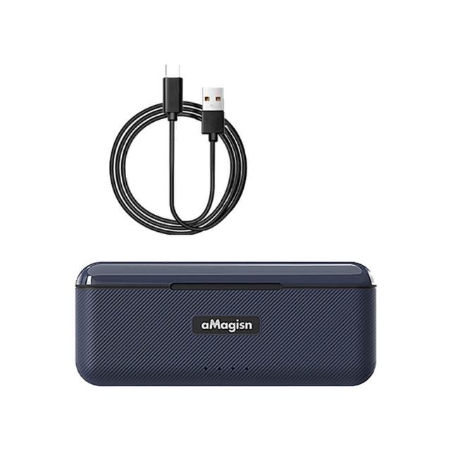 【AMAGISN】Insta360 Ace Pro / Ace 快充三充充電器(可收納記憶卡)