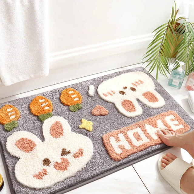 DTW 加厚雪尼爾吸水地墊(買一片送一片)好評推薦