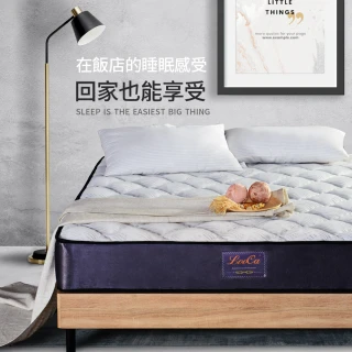 【LooCa】軟硬適中-防蹣抗菌+乳膠+雲端層獨立筒床墊(加大6尺★破盤下殺)