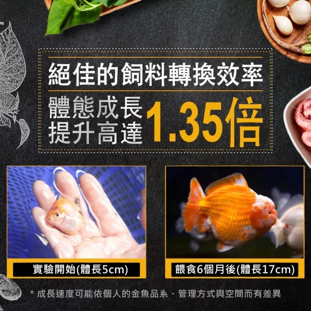 【Ultra Fresh 鮮蝦食譜】APEX金魚-全季節濃郁色揚成長脆片120ml(金魚飼料 蘭壽飼料 獅頭 色揚 魚飼料)