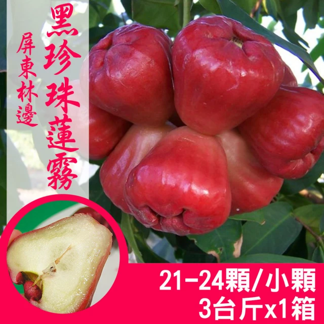 產地直送 屏東林邊黑珍珠蓮霧4台斤X2箱/精裝版(20-26