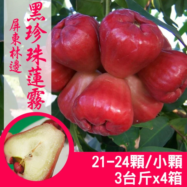 產地直送 屏東林邊黑珍珠蓮霧3台斤X1箱(16-20顆/中顆