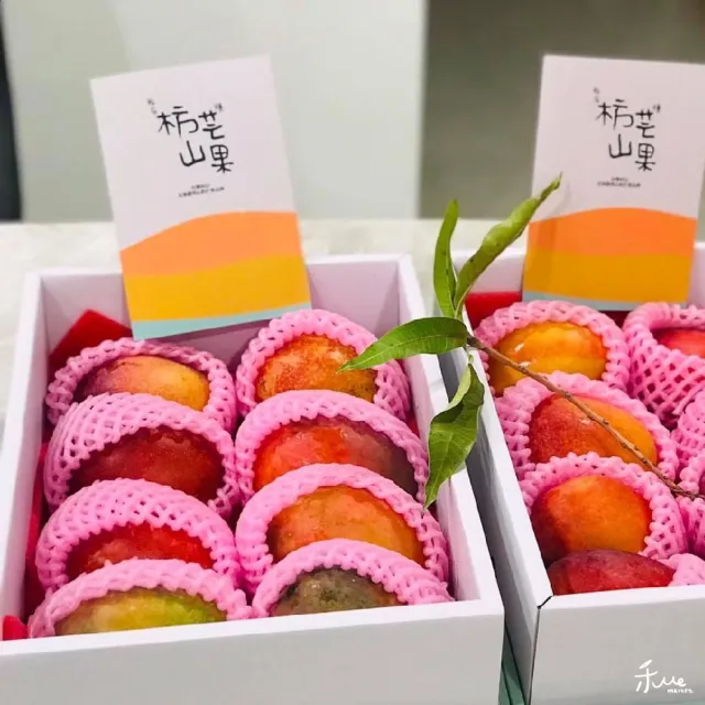 【我在枋山種芒果】愛文芒果禮盒(中果8-10顆/5斤)