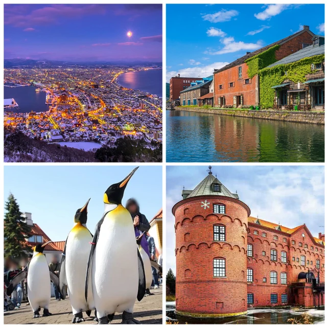 每月一物北海道旅遊 全程無自理餐.企鵝遊行.小樽運河.函館夜景.螃蟹吃到飽五日.二晚溫泉