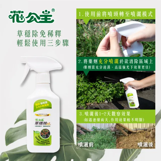 【花公主】草穩除免稀釋除草劑500ml(三件組)