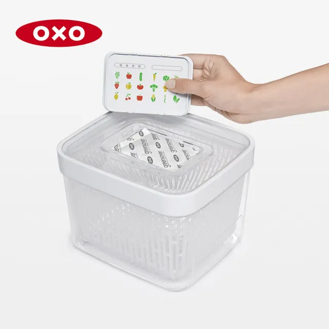 【美國OXO】蔬果長鮮盒活性碳補充包2入
