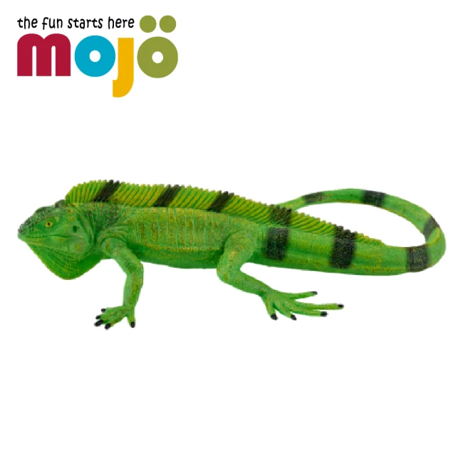 御模道 四聖獸 朱雀機娘(1/12 組裝模型 A.T.K.G