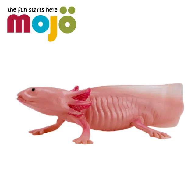 【Mojo Fun】動物模型-墨西哥鈍口螈