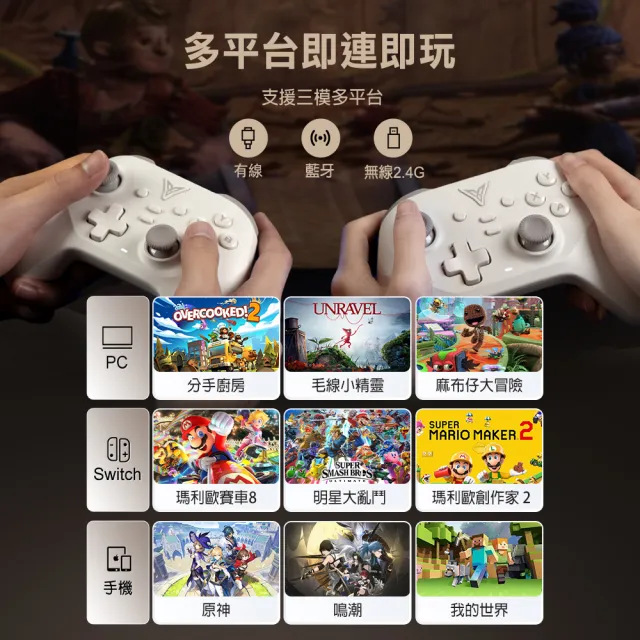 【Flydigi 飛智】沙漠狐 遊戲手把(黑悟空 PC無線手把 原神 馬力歐 霍爾搖桿扳機 Switch副廠手把 信星科技)