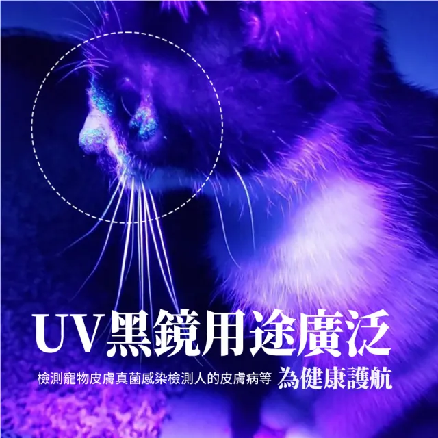 【驗鈔神器】365nm紫外線LED手電筒(驗鈔筆 防偽 螢光劑檢測 紫光燈 UV燈)