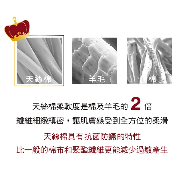 【IHouse】天絲防蹣抗菌愛麗絲彈簧床墊(單人加大3.5尺)