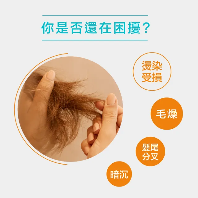 【摩洛哥優油】優油100ml買1送1(優油一般版/公司貨/護髮油)