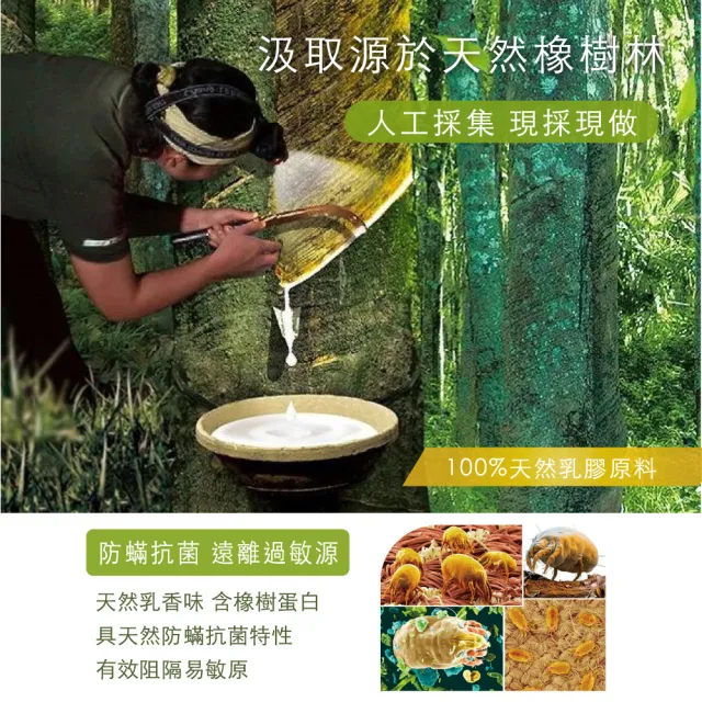 【Arnold Palmer雨傘牌】人體工學乳膠枕2入