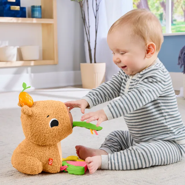 【Fisher price 費雪】安撫小水豚(寶寶安撫/嬰兒玩具/彌月禮/新生兒)