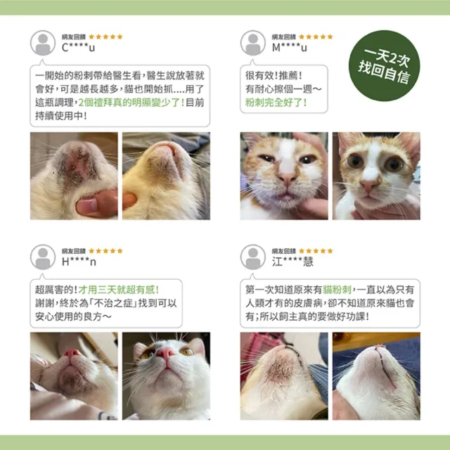 【PROUDPET 嬌寵醫生】貓咪粉刺調理露 30ml(貓咪粉刺/黑下巴/貓狗皮膚護理/犬貓皮膚保養)
