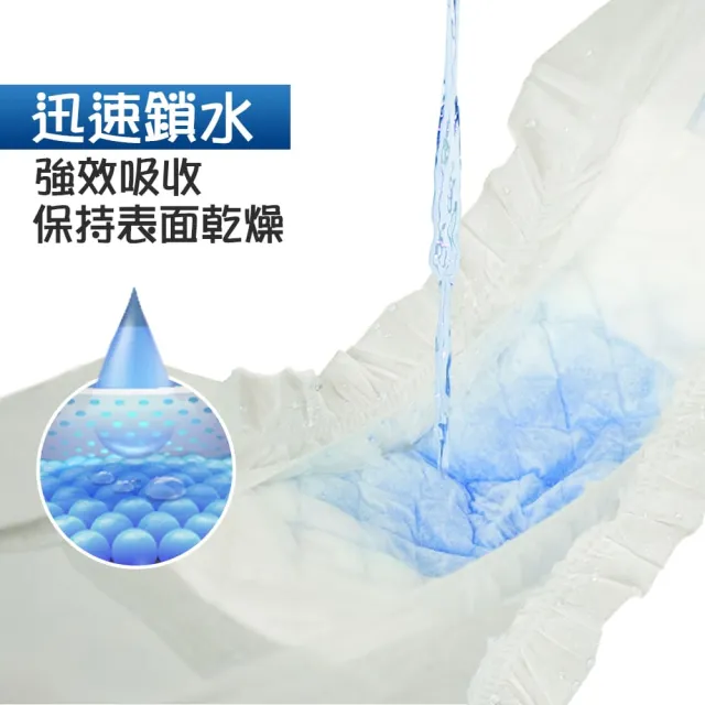 【美國BV Pets】寵物禮貌帶 公犬用 4包組(公狗禮貌帶/寵物尿布/狗尿布/狗尿褲)