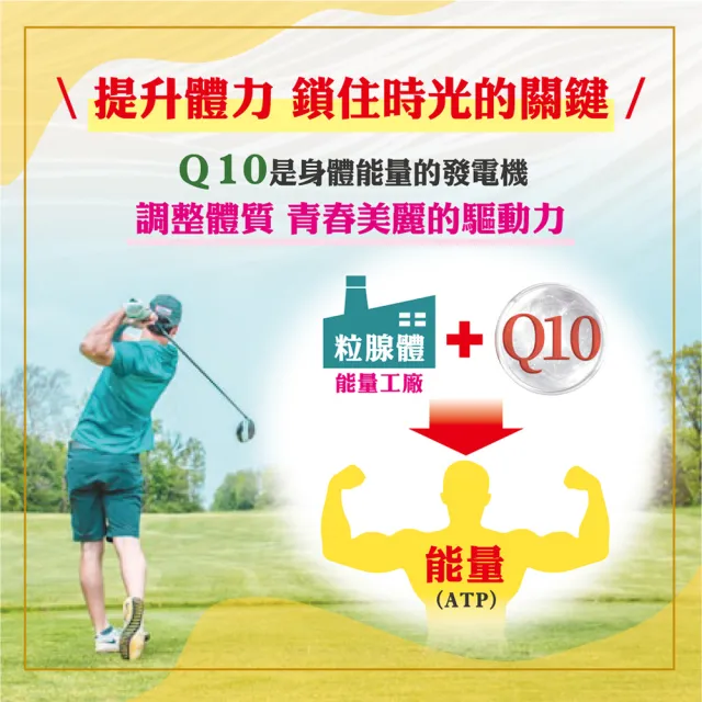【YAYU Biomed 雅譽生醫】超級Ｑ10 輔芯Ｒ2SP膠囊1入組(共30顆)