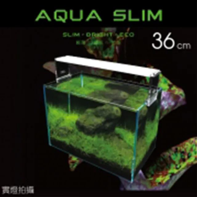 【ISTA 伊士達】高透光水草燈36cm(超薄型)