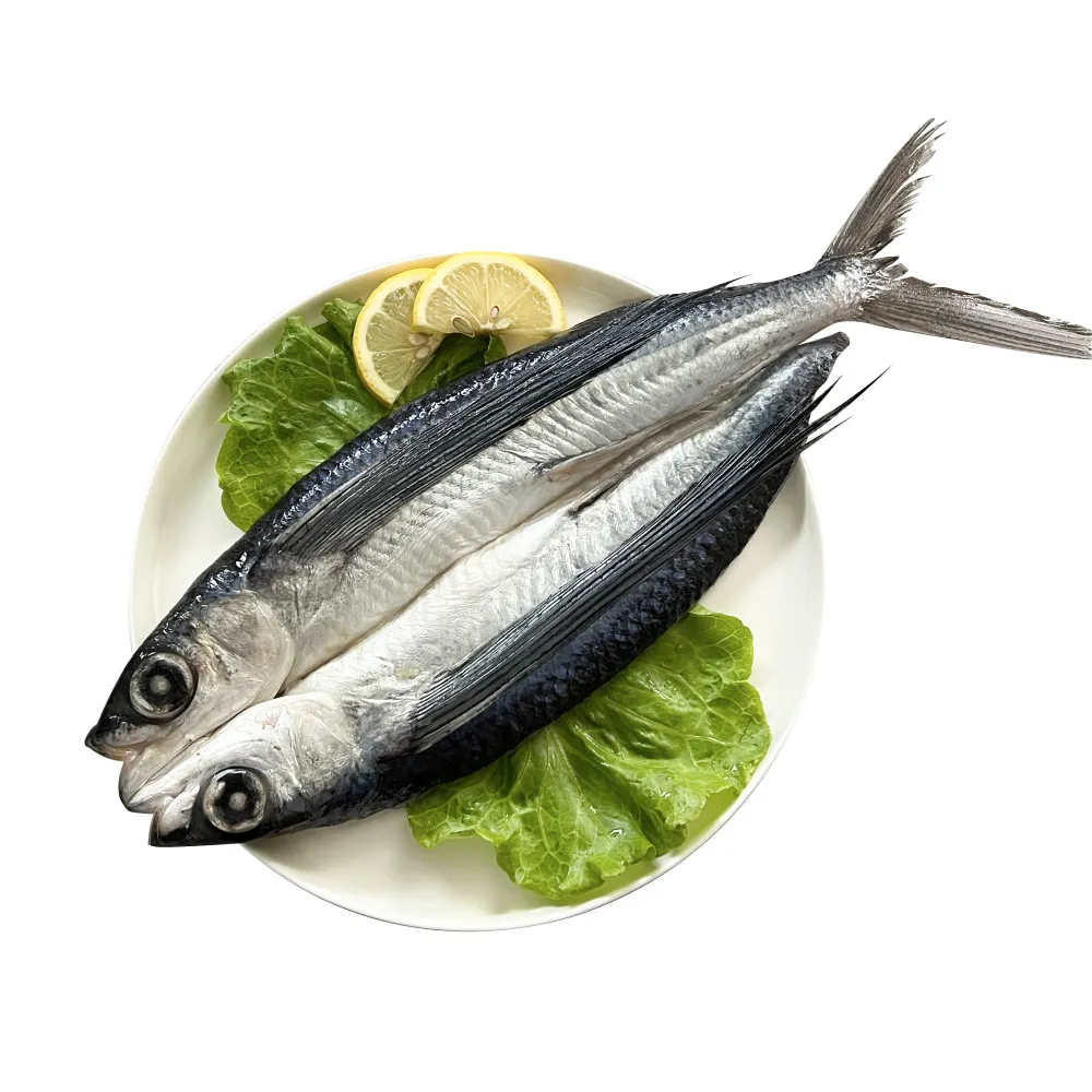 季節限定蘭嶼美食野生飛魚一夜干