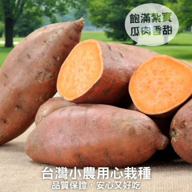 【WANG 蔬果】台農66號紅心地瓜10斤x1箱(農民直配)
