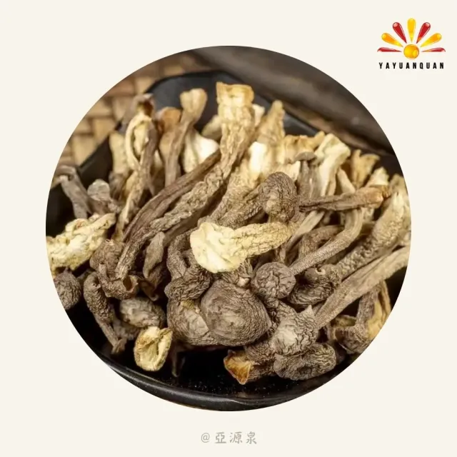 亞柏林 鹿茸香菇 100g/包 10包組(贈亞源泉系列商品1包)