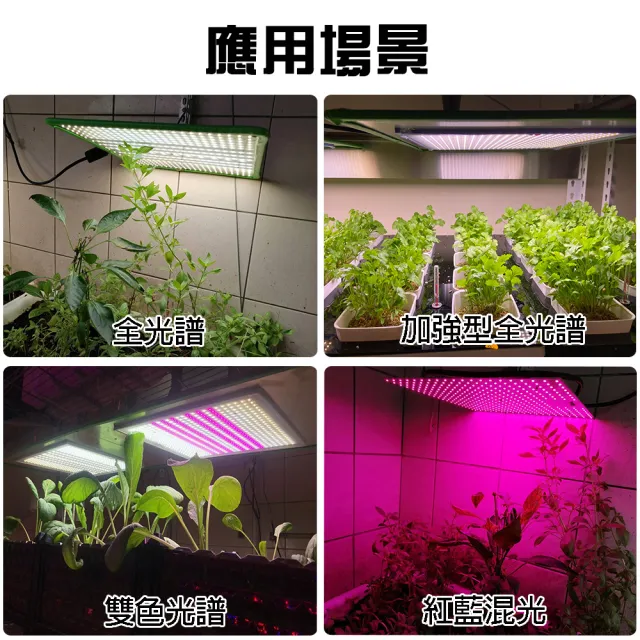 【JIUNPEY 君沛】LED50W薄型植物燈板 50瓦磁吸式 雙色光譜設計有助於提高栽培效率和作物質量(植物燈)