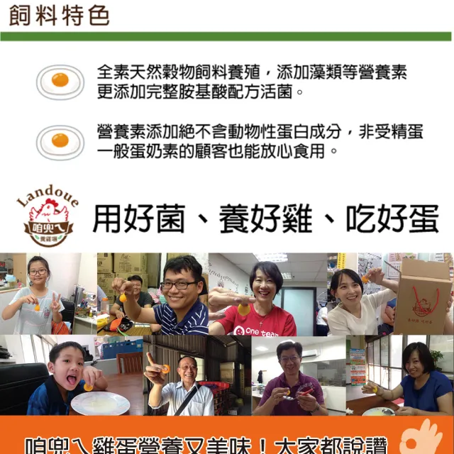 【咱兜ㄟ養雞場】草本DHA機能蛋/紅殼/100入團購優惠箱(機能蛋專家/平飼/永續農業)