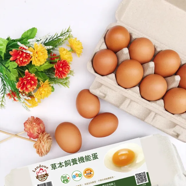 【咱兜ㄟ養雞場】草本DHA機能蛋/紅殼/40入宅配禮盒組(機能蛋專家/平飼/永續農業)