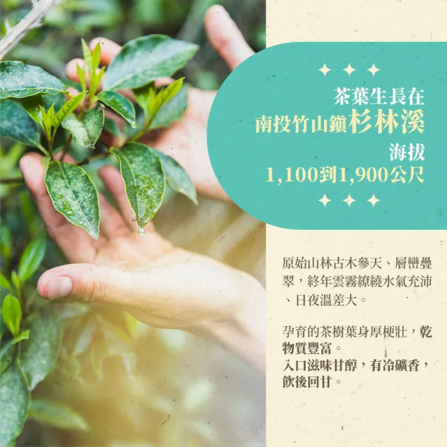 【名池茶業】佳沁蜜奶香杉林溪金萱烏龍茶葉 150gx4包(共1斤)