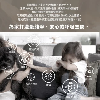 【Electrolux 伊萊克斯】極適家居300抗敏清淨機EP32-27SWA UGA WBA(8坪適用/3色任選/APP智能遙控)