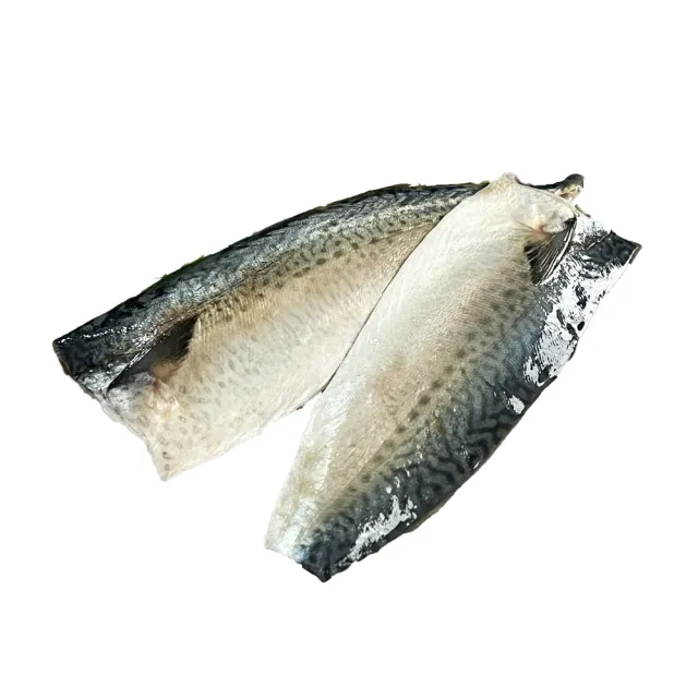 台灣野生花腹鯖魚片
