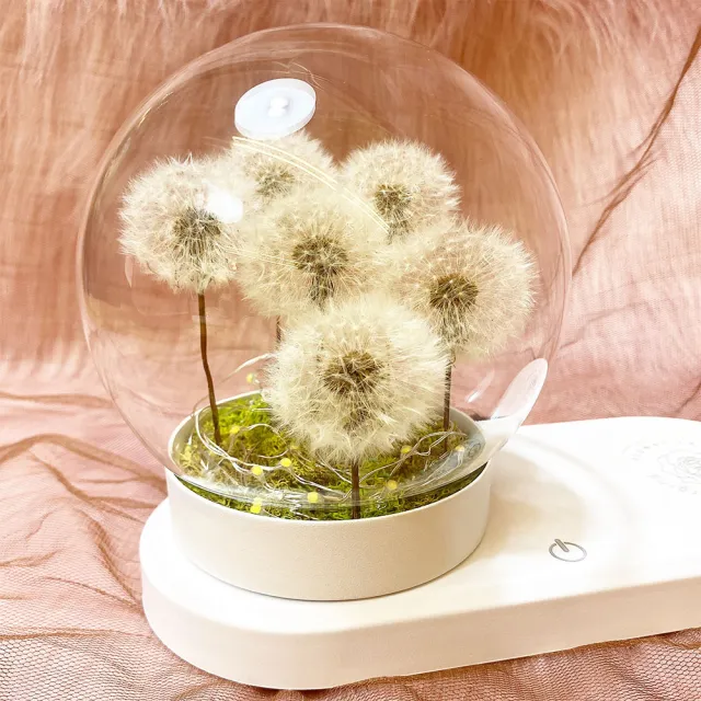 【OSTARA FLORIST 奧斯塔拉花藝】滿滿療癒小巧蒲公英圓球玻璃罩燈飾 珍珠流光沙蠟系列(永生花、花禮、沙蠟)
