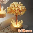 【命運好好玩】湯鎮瑋-生財致富黃晶樹燈