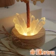 【命運好好玩】湯鎮瑋-生財致富黃晶樹燈