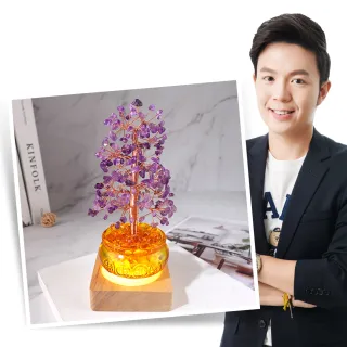 【命運好好玩】湯鎮瑋-紫晶招貴搖錢樹燈