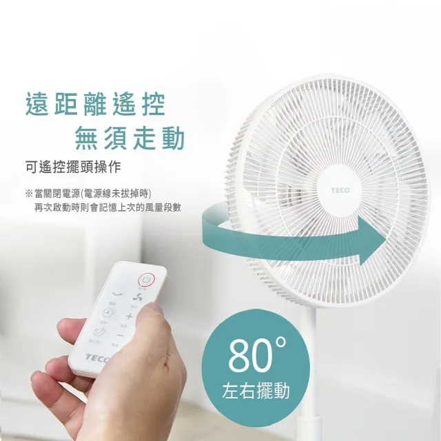 【TECO 東元】日系風格16吋DC遙控擺頭立扇(XA1669BRD)雙入組