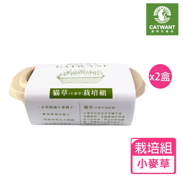【CATWANT 貓咪旺農場】小麥草DIY種植組x2盒(貓草栽培組 貓草 小麥草)
