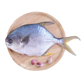 【心鮮】富貴滿堂金鯧3件組(400g-500g/尾)