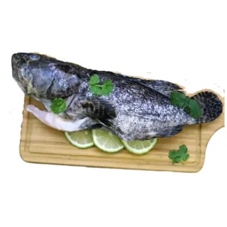 【蘇班長安心石斑】龍虎石斑鮮魚條凍700g 3入組 歐盟食安標準(石斑魚 三清處理完成 十大神農 外銷加拿大)
