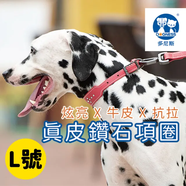 【DOGNESS多尼斯】真皮系列鑽石項圈_L號(狗項圈 狗狗項圈 真皮項圈)