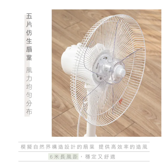 【KINYO】14吋旋鈕式AC循環扇/升降風扇/AC扇 左右擺頭/三段風速/適用4-10坪空間 ACF-1132