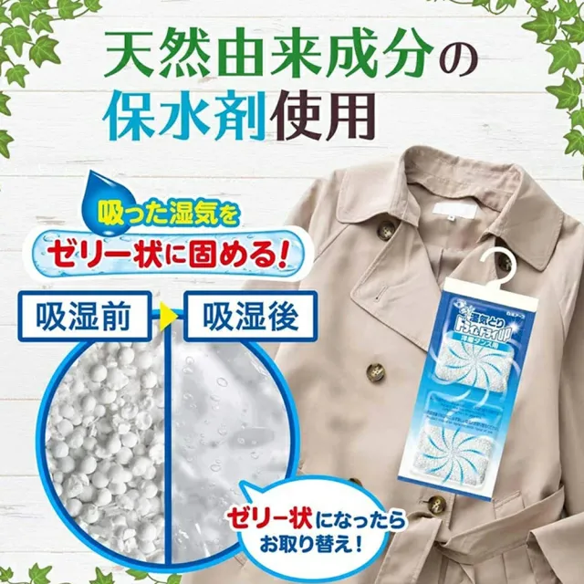 【台隆手創館】日本白元Dry & Dry Up吊掛式除濕包-衣櫥專用-2入裝(除濕劑)
