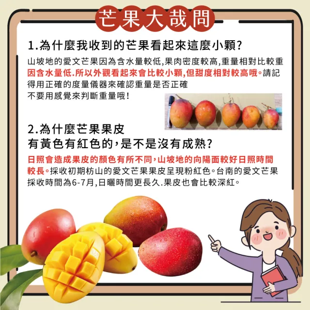 【初品果】枋山阿憲愛文芒果含箱重10斤12-16顆x2箱(外銷大果_山頂上的愛文芒果)