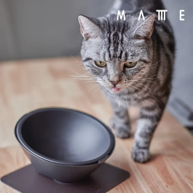 【MATTTE】RoLock 寵物不倒大口徑飼料斜食碗 250ml 不沾黑色(吸地耐撞/內外碗分離/不沾塗層)